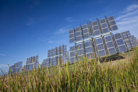 A field of photovoltaic solar panels providing renewable alternative green energy with bullrushes in the foregroundの写真素材