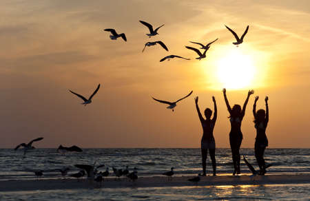 Three beautiful young women in bikinis dancing on a beach at sunset surrounded by sea gull birds all in silhouetteの写真素材