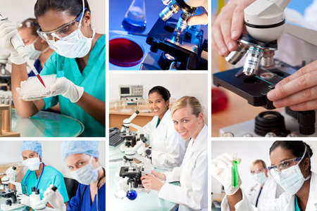Two female medical or scientific researchers using microscopes working in a laboratory one Indian Asian one Caucasianの写真素材