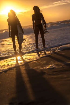 Beautiful young women surfer girls in bikinis with surfboards on a beach at sunset or sunriseの写真素材