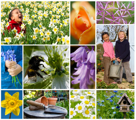 Montage of mixed race children, girl & boy playing enjoying a healthy spring garden holding a watering can together, laughing among beautiful flowers, daffodils, bluebells, roses, daisies. の写真素材
