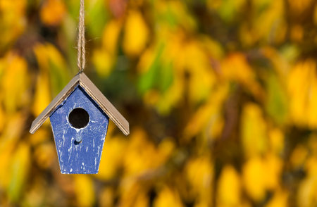 A bird house or bird box in Autumn or Fall sunshine with natural golden leaves background