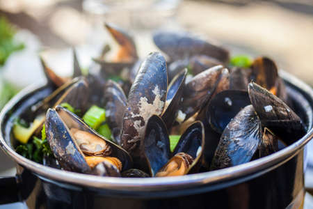 Bowl of fresh mussels moules mariniereの写真素材
