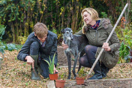 Happy smiling mother and teenage son, male boy child and woman gardening in a garden vegetable patch with their pet dogの写真素材