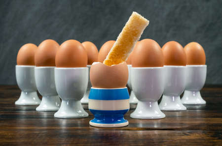 Toast soldier dipped into one boiled egg in a blue striped eggcup surrounded by white egg cups on a wooden tableの写真素材