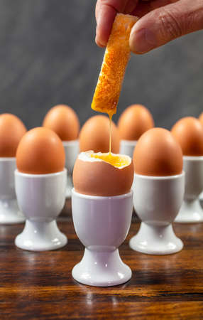 Person dipping toast soldier into one boiled egg of a group of eggs in white egg cups on a wooden tableの写真素材
