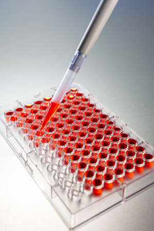Laboratory blood test or medical lab research testing samples of blood or a red solution with a pipette and ninty six well cell trayの写真素材
