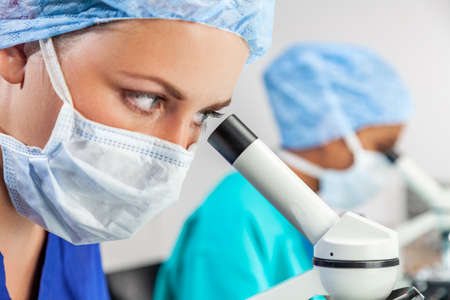 Female medical or scientist using a microscope in a research lab or laboratory with her colleagueの写真素材