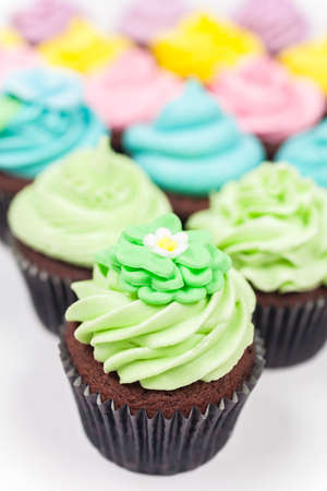 Chocolate cup cakes with icing or frosting, pink, purple, blue, yellow and green photographed on a white backgroundの写真素材