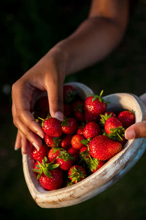 Girl or young woman hands holding a wooden heart shaped bowl of freshly picked red strawberriesの写真素材