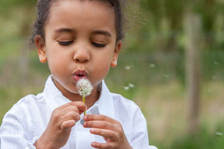 Beautiful cute happy mixed race biracial African American girl female child blowing a dandelion in the countrysideの写真素材