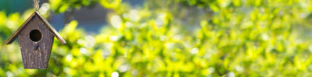 Panorama bird house, birdhouse or bird box in summer or spring sunshine with natural green leaves background panoramic web bannerの写真素材