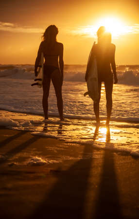Rear view of two beautiful sexy young women surfer girls in bikinis with white surfboards on a beach at sunset or sunriseの写真素材