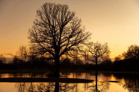 Sunset or sunrise behind trees in a countryside landscape of flooded fieldsの写真素材