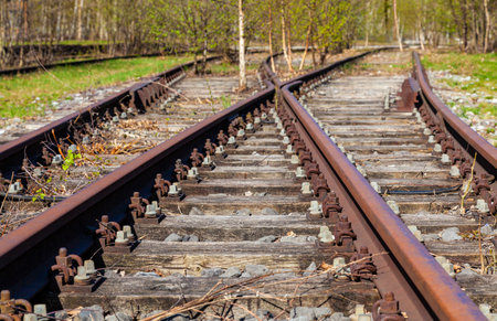 Abandoned old rusty railway line tracks leading into a woodland or forestの写真素材