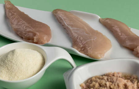 Raw chicken Breasts, tuna in oil and a whey protein scoop vanilla flavor. Sport nutritionの写真素材