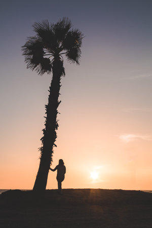 Woman watching sunset, next to a palm tree, at Almerimar, Almeria, Spainの写真素材