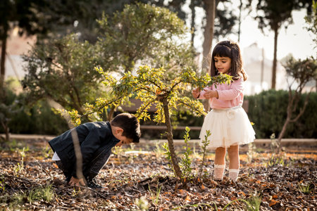 Little boy and girl playing and cultivating a tree in a parkの写真素材