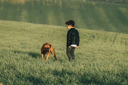 Fashionable child in leather coat. stylish little boy with a dog in the countrysideの写真素材