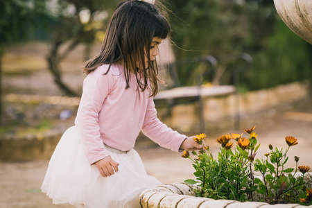 little girl catching a flower in a parkの写真素材