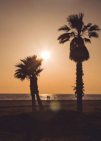 Lovers walking holding hands watching the sunset. The beach has two very tall coconut trees. Almerimar, Almeria, Spainの写真素材