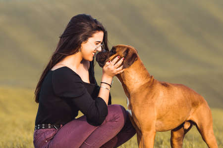 fashion girl with her boxer dog at the meadow in fallの写真素材