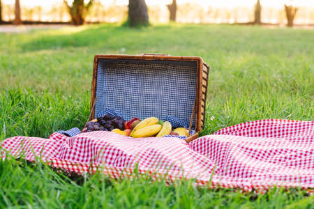 Delicious Picnic Spread at the parkの写真素材