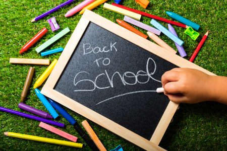 Back to school supplies arrangement vivid colorful on green grass and blackboard hand chalkの写真素材