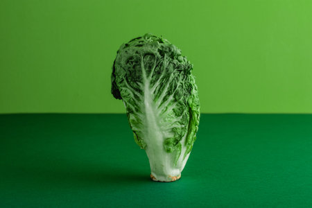 Fresh ripe cos lettuce on green color background