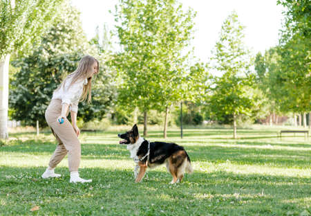 Couple playing with their dog in the park. Latino man and Caucasian woman with a Border collieの写真素材