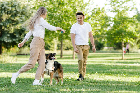 Couple playing with their dog in the park. Latino man and Caucasian woman with a Border collieの写真素材
