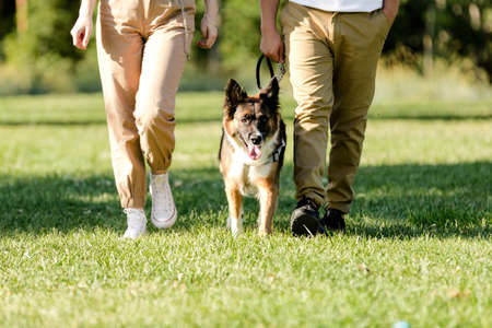 Young couple walking with their dog Border Collie in a park. Unrecognizable personsの写真素材