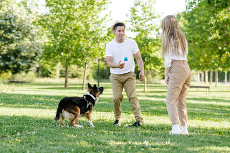 Couple playing with their dog in the park. Latino man and Caucasian woman with a Border collieの写真素材