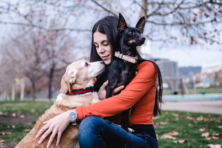 Woman enjoying the day outdoors in the park with her dogs.の写真素材