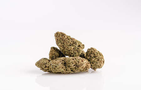 Marijuana cannabis buds on an isolated white background.の写真素材