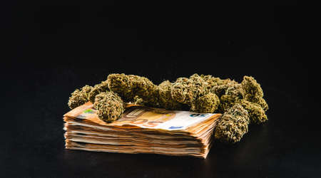 Marijuana buds with a stack of euro banknotes on a dark background.の写真素材