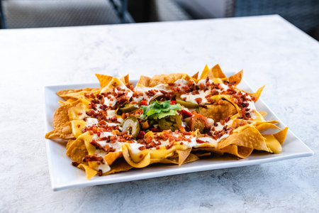 Nachos with sauce served on trayの写真素材