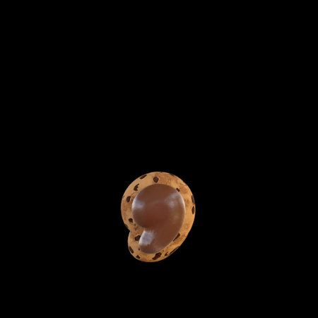 3d rendering of the , or comma sign recreating a cookie with chocolate on topの写真素材