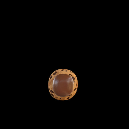 3d rendering of the . or point or doc sign recreating a cookie with chocolate on topの写真素材