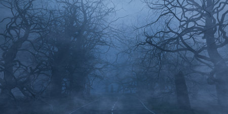 Foggy forest with leafless trees in evening timeの写真素材