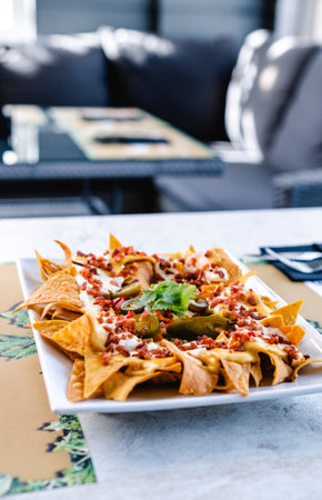 Nachos with sauce served on trayの写真素材