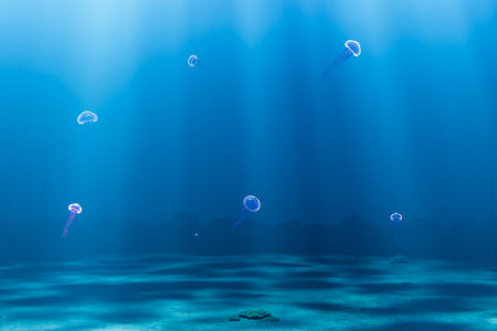 3D render illustration of jellyfish floating in oceanの写真素材