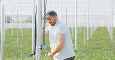 Farmer operating lever in greenhouse for irrigation system