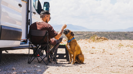 Man training his boxer dog near camper van in gorafe, spain