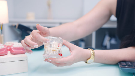 Dentist explaining dental implant procedure using jaw model