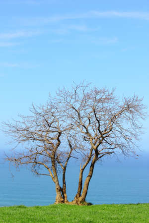 Spring in Spain, Debaの写真素材