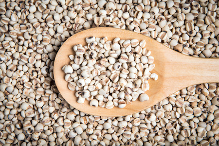scoop of millet on the pile of millet backgroundの写真素材