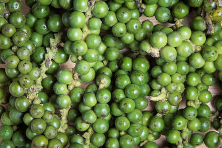 close up pile of fresh green pepper as a backgroundの写真素材