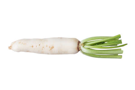 Isolated radish vegetable on a white backgroundの写真素材