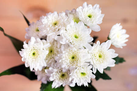close up white flower on blurry wooden background. Selective focus.の写真素材